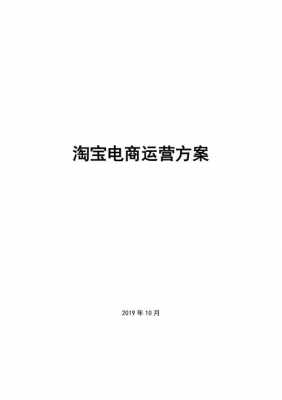 淘宝电商运营方案模板怎么写-淘宝电商运营方案模板-第3张图片-马瑞范文网