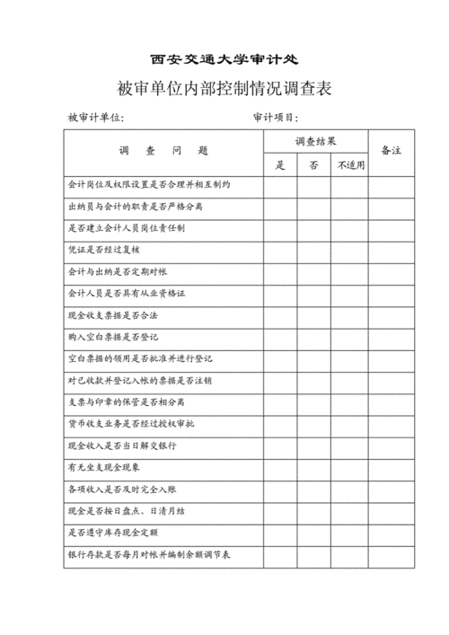 审计调查了解记录模板,审计调查表含哪些内容 -第1张图片-马瑞范文网