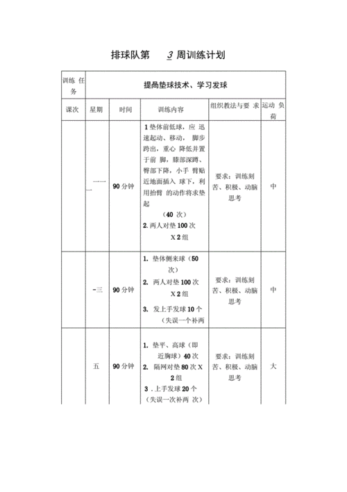 排球比赛训练计划 排球队队训练计划模板-第3张图片-马瑞范文网