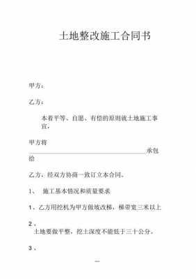 整改施工协议模板_整改施工协议模板范文-第1张图片-马瑞范文网