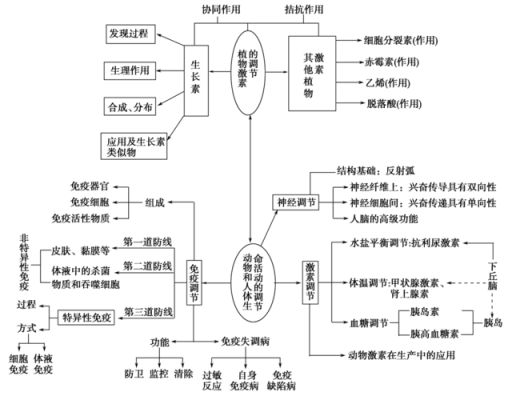 生物教学设计万能模板（生物教学设计流程图）-第3张图片-马瑞范文网