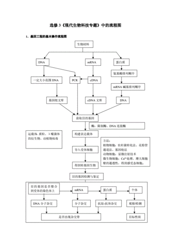 生物教学设计万能模板（生物教学设计流程图）-第1张图片-马瑞范文网