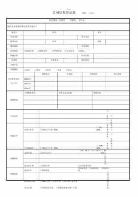 公司基本信息表格模板（公司基本信息表格模板图片）-第2张图片-马瑞范文网