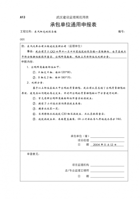 项验收整改报告模板_验收整改方案-第2张图片-马瑞范文网