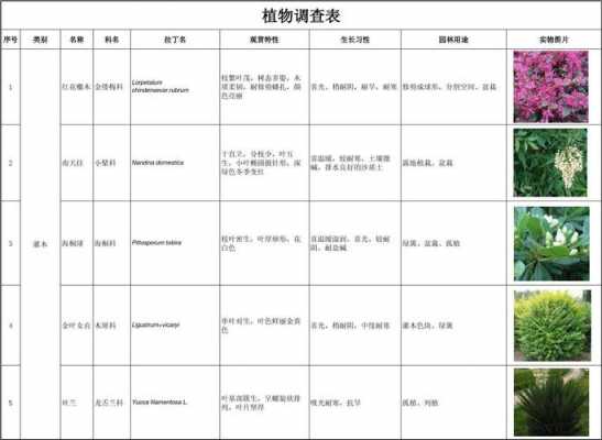 小学生植物调查表模板,小学生植物调查表模板下载 -第2张图片-马瑞范文网