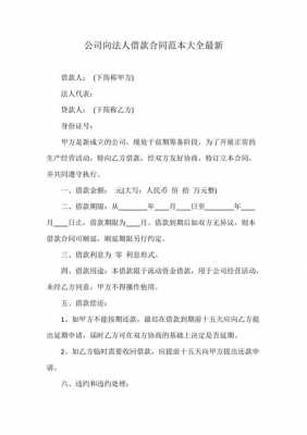 法人向公司借款的摘要怎么写 从法人借款模板-第2张图片-马瑞范文网