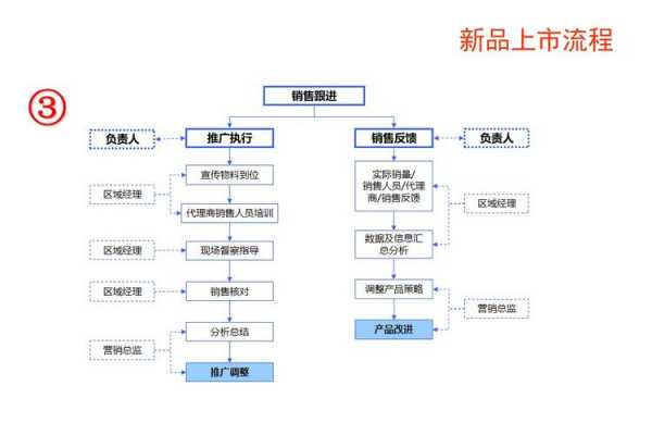 产品推出的一般流程 产品推出方案模板-第3张图片-马瑞范文网