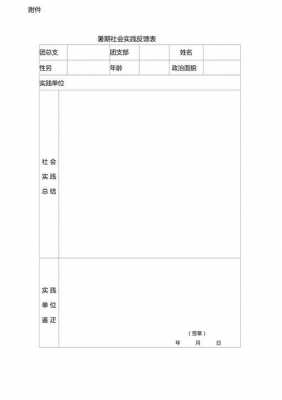 社会暑假实践表 社会暑假实践的模板-第2张图片-马瑞范文网