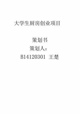 大学生厨房策划书模板（大学生厨房项目策划书精选多篇）-第2张图片-马瑞范文网