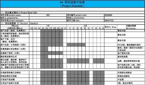 制定项目计划模板（制定项目计划模板图片）-第3张图片-马瑞范文网