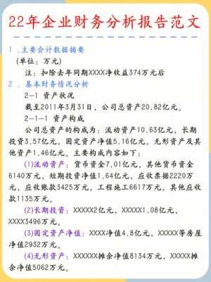 财务乱像分析报告模板_财务乱像分析报告模板图片-第3张图片-马瑞范文网