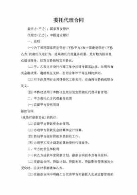 代理委托协议模板_委托代理协议是什么-第3张图片-马瑞范文网