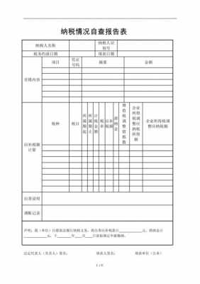 纳税人自查表模板,纳税人自查报告表范本 -第2张图片-马瑞范文网