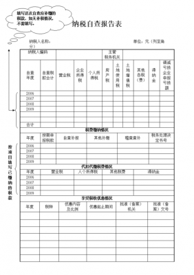 纳税人自查表模板,纳税人自查报告表范本 -第3张图片-马瑞范文网