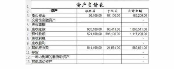 企业净资产报告模板下载-第2张图片-马瑞范文网