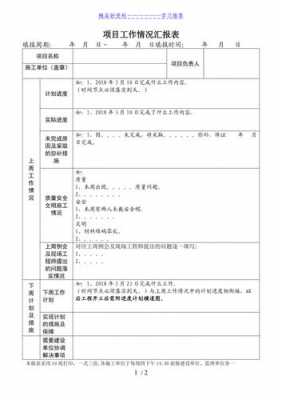 进展情况汇报表格模板（进展情况的汇报）-第2张图片-马瑞范文网