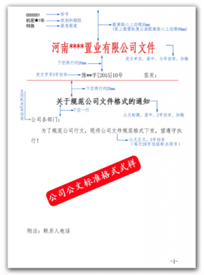 说明公文模板,说明公文模板怎么写 -第3张图片-马瑞范文网