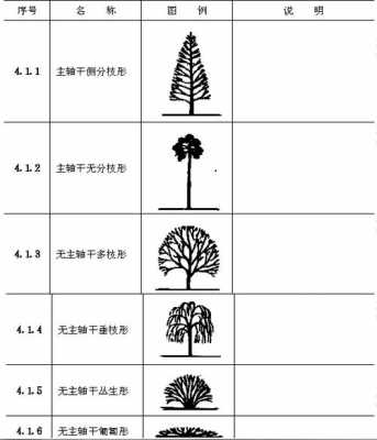 树冠图形模板,树冠图形模板怎么画 -第2张图片-马瑞范文网