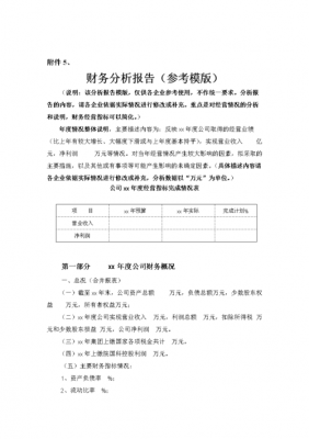 财务报告分析模板,财务报告分析报告 -第2张图片-马瑞范文网