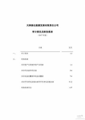 审计报告和财报 区别-财报审计报告模板-第3张图片-马瑞范文网