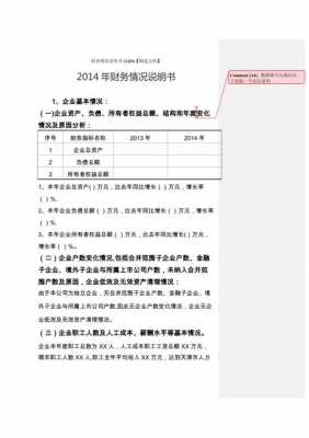 简单点财务说明书模板_财务说明书怎么写-第1张图片-马瑞范文网