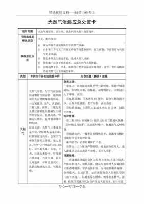 气站的应急预案模板,气站应急处置卡 -第2张图片-马瑞范文网