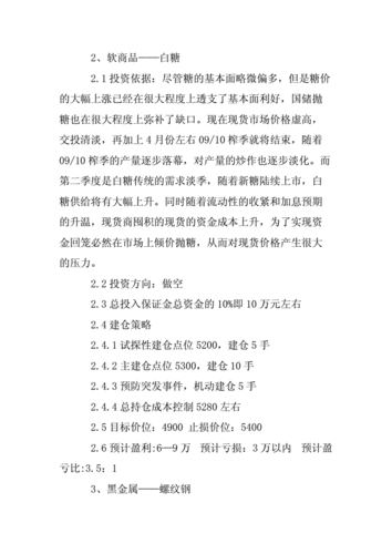 期货计划模板,期货计划模板下载 -第3张图片-马瑞范文网