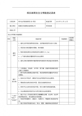 项目经理周检记录范本-第1张图片-马瑞范文网