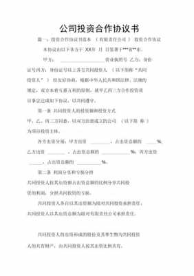  投资合作协议合同模板「投资合作协议什么意思」-第1张图片-马瑞范文网