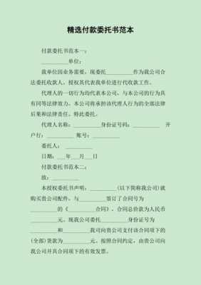 个人委托书付款协议模板怎么写-第3张图片-马瑞范文网