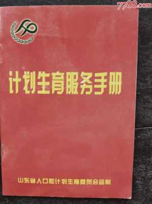 计生专干日常工作怎样写 计生专干手册模板-第2张图片-马瑞范文网