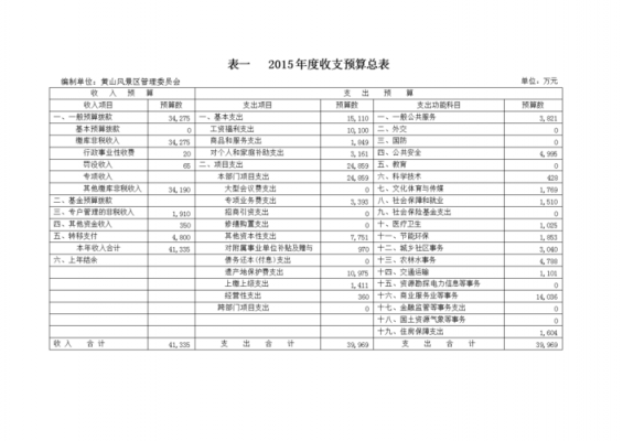 财政预算书模板,财政预算表 -第1张图片-马瑞范文网