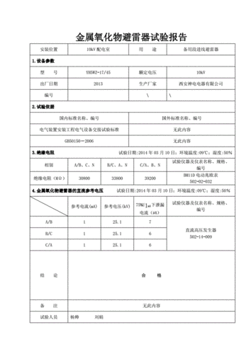 避雷器报告模板（避雷器验收说明）-第1张图片-马瑞范文网