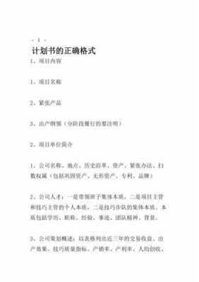 各类计划书模板,计划书标准格式 -第3张图片-马瑞范文网