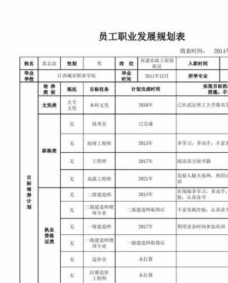 员工个人发展计划目标怎么写-员工发展目标计划模板-第3张图片-马瑞范文网