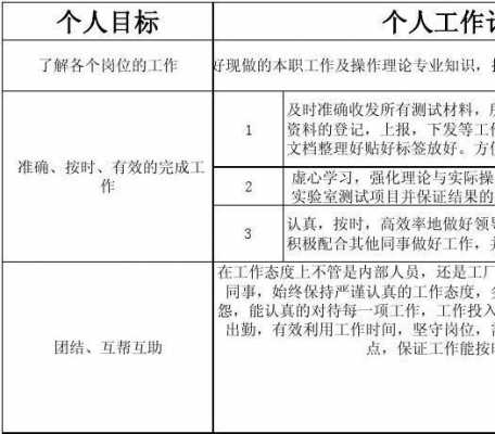 员工个人发展计划目标怎么写-员工发展目标计划模板-第2张图片-马瑞范文网