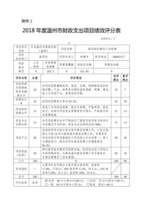 财政支出绩效报告模板下载 财政支出绩效报告模板-第2张图片-马瑞范文网