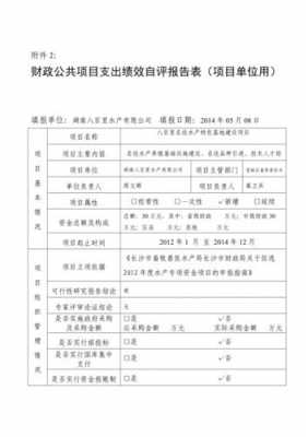 财政支出绩效报告模板下载 财政支出绩效报告模板-第3张图片-马瑞范文网