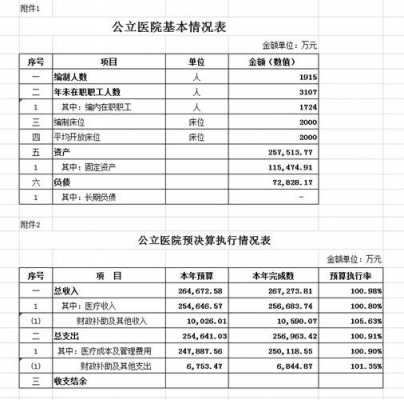 医院财务预决算模板,医院财务预决算模板图片 -第1张图片-马瑞范文网