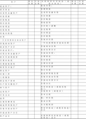 报表格式图 报表附注模板-第3张图片-马瑞范文网