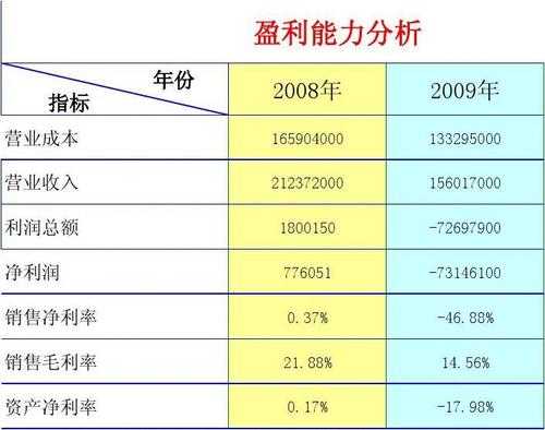 盈运能力分析模板（盈运能力分析模板ppt）-第2张图片-马瑞范文网