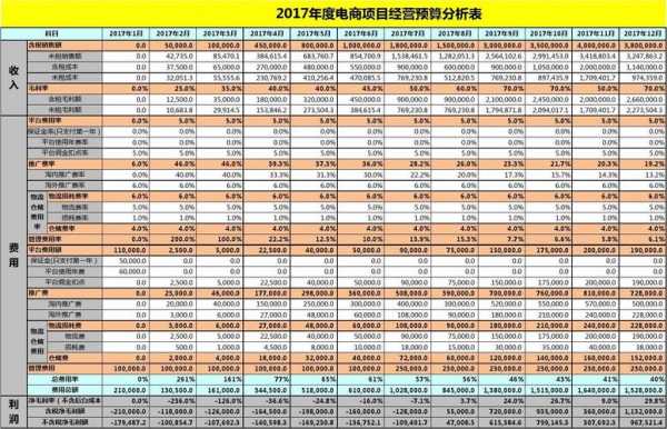 天猫电商利润报表模板_天猫平台盈利情况分析-第2张图片-马瑞范文网