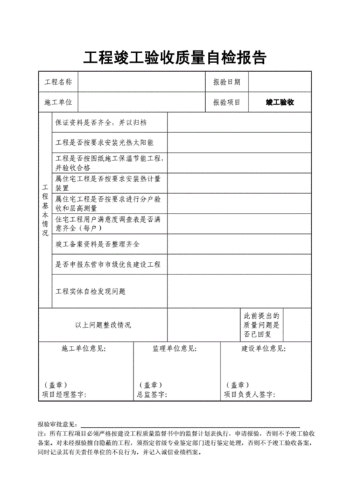 项目初验自检报告模板-第3张图片-马瑞范文网