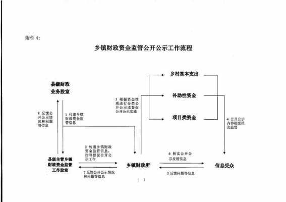 财政所资金监管模板-第3张图片-马瑞范文网