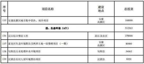 安康产业项目建设年-安康项目实施方案模板-第2张图片-马瑞范文网