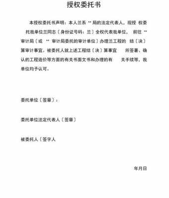 项目审计委托书模板,工程审计委托书 -第2张图片-马瑞范文网