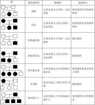  人类遗传办模板「人类遗传图谱」-第2张图片-马瑞范文网