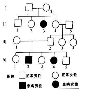  人类遗传办模板「人类遗传图谱」-第1张图片-马瑞范文网