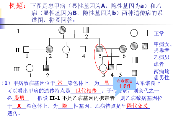  人类遗传办模板「人类遗传图谱」-第3张图片-马瑞范文网