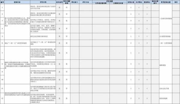 内控自我测试报告-第3张图片-马瑞范文网